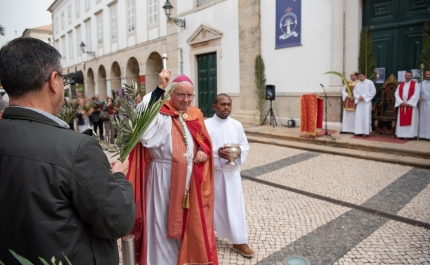 Domingo de Ramos: Bispo do Algarve disse que a paixão de Jesus continua hoje nas situações de guerra no mundo 