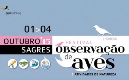 Festival das Aves e natureza volta a Sagres em outubro