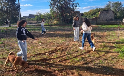Cãominhada promove bem-estar e solidariedade em Olhão
