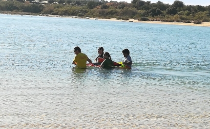 2 Golfinhos Salvos em Cacela na Ria Formosa