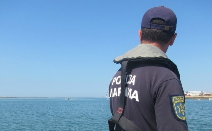 Autoridade Marítima e populares salvam baleia encalhada em praia do Algarve