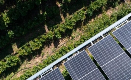 Produção de energia solar fotovoltaica para autoconsumo na agricultura - Conheça a oferta da EDP