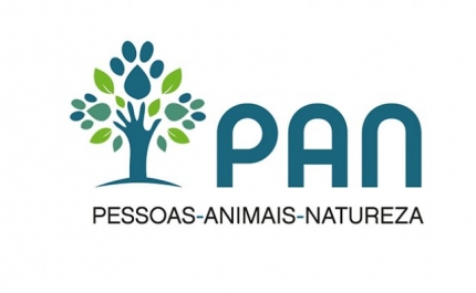 Incêndios: Veterinário municipal sabia de abrigo onde morreram animais - PAN