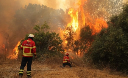 Incêndios: proprietários querem ter mais tempo para limpar terrenos