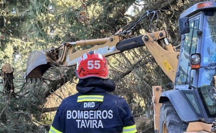 Danos provocados pela Tempestade Bernard no concelho de Tavira 