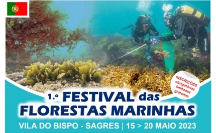 1.º FESTIVAL DAS FLORESTAS MARINHAS 