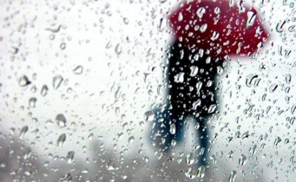 Todos os distritos do continente sob aviso amarelo devido à chuva e vento forte