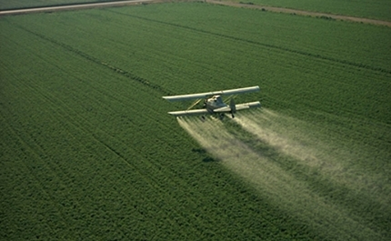 Semana de Acção Contra Os Pesticidas