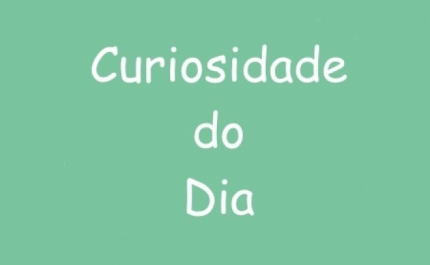 Curiosidade do Dia – 10 de novembro