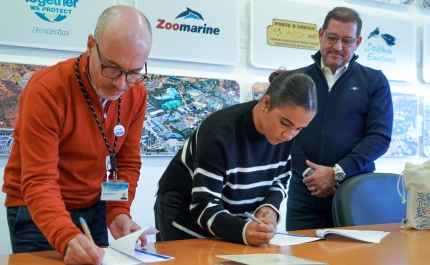 Zoomarine reforça aposta na vela e passa a patrocinar dois atletas nacionais