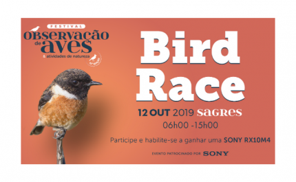 O festival de observação de aves está aí à porta