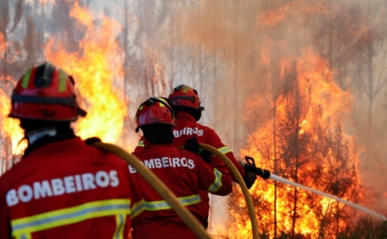 Incêndios: Chamas em Odemira causaram quatro feridos, um dos quais grave