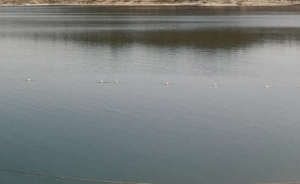 Mau tempo: Barragem da Bravura no Algarve com medida histórica de 82% da capacidade