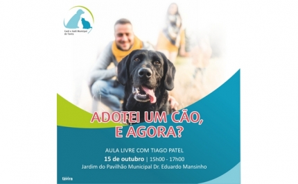 Adotei um cão, e agora?