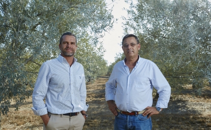 Azeite Algarvio Monterosa Continua a Conquistar Prémios nos Vários Cantos do Mundo Depois de Nova Iorque o Japão