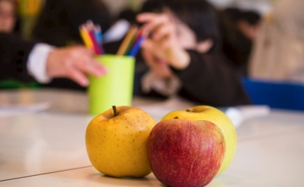 Projeto «Heróis da Fruta» implementado nas escolas em mais de metade dos concelhos de Portugal
