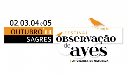 V Festival de Observação de Aves de Sagres: inscrições a partir de 18 de agosto