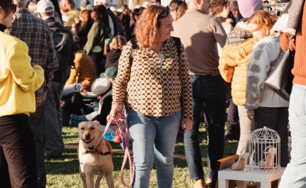 Festival Sol de Inverno 2026  