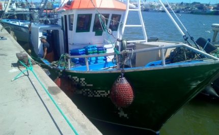 Polícia Marítima apreende cerca de 600 Kg de polvo em Vila Real de Santo António