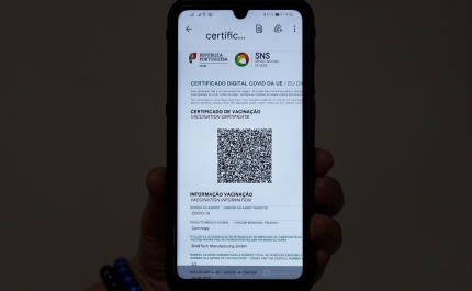 Covid-19: Ministério reconhece problemas e desaconselha app para emitir certificados