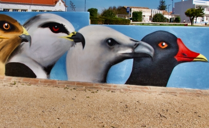 SAGRES TEM MURAL DE ARTE PÚBLICA ALUSIVO AO FESTIVAL DE OBSERVAÇÃO DE AVES & ATIVIDADES DE NATUREZA