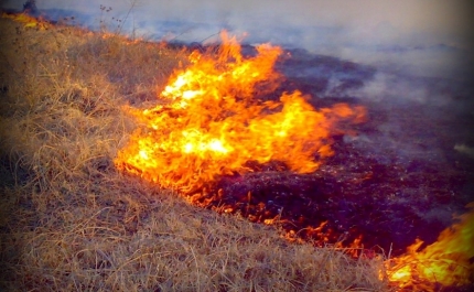 Incêndios: Fogo em Mértola mobiliza 115 operacionais e oito meios aéreos