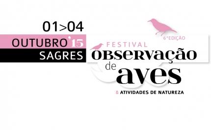 Festival das Aves e natureza volta a Sagres em outubro