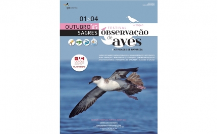 Estão abertas as inscrições para as atividades do VI Festival de Observação de Aves & Atividades de Natureza 