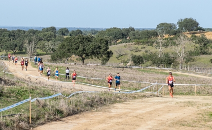 VALE DE SANTIAGO RECEBEU CAMPEONATO DISTRITAL DE CORTA MATO LONGO