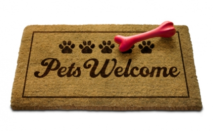 Pousadas de Portugal passam a ser dog friendly