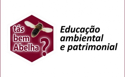 CÂMARA DE ALJEZUR PROPORCIONA PROGRAMA DE EDUCAÇÃO AMBIENTAL E PATRIMONIAL «TÁS BEM ABELHA?»