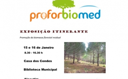 Alcoutim aposta na promoção da biomassa florestal