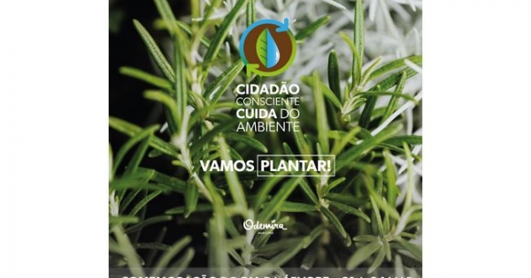 Odemira Assinala Dia Mundial Da Rvore Oferta De Plantas Popula O