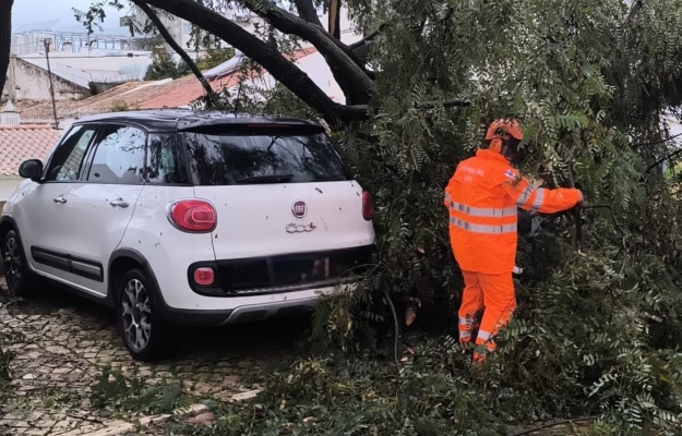 Depressão Kristin provoca mais de 250 ocorrências no concelho de Loulé