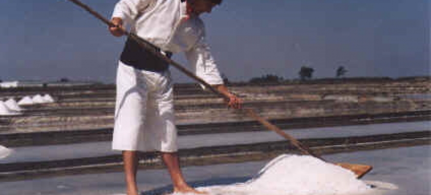 Uma conversa sobre o sal