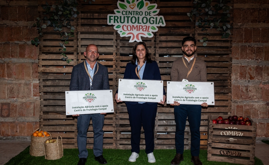 Vencedores Academia CFC 2024, Paulo Costa, Maria Joao Guedes e Bruno Jesus