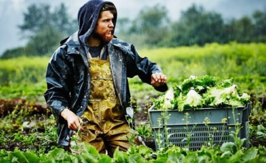 Projecto Europeu Newbie. Prémio 2019 para novos empresários agrícolas com candidaturas abertas até 31 de Janeiro