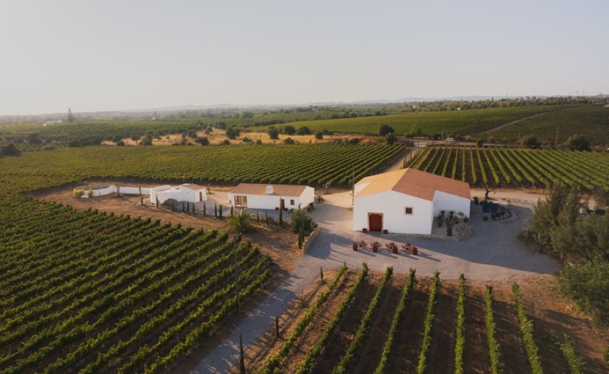 «Cabaz da Terra» promove vinhos do concelho