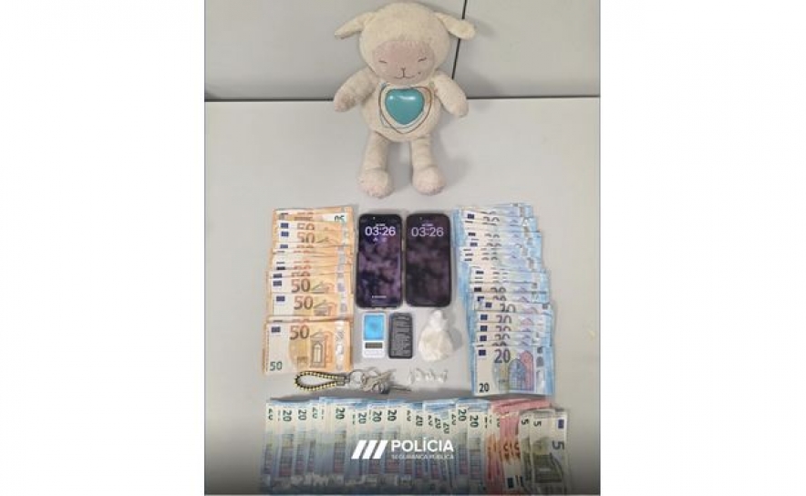 PSP de Faro apreende cocaína dissimulada em boneco de peluche
