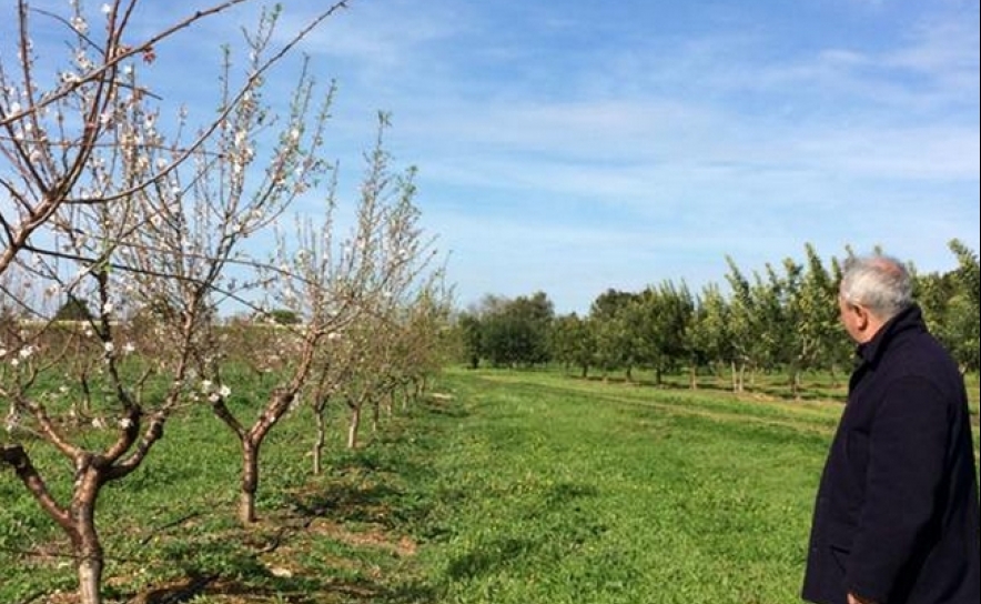 Maior coleção de árvores de fruto está no Algarve