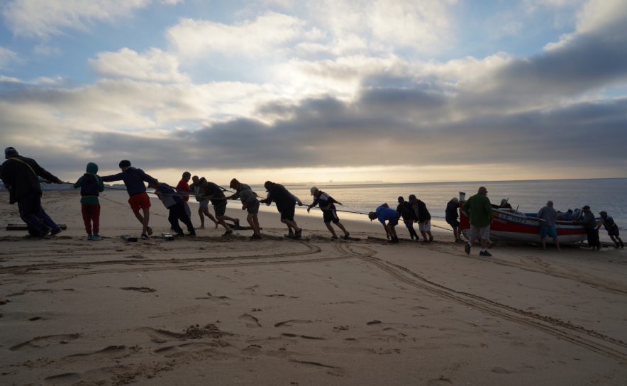 Salvar a Arte Xávega Tradicional da Meia Praia