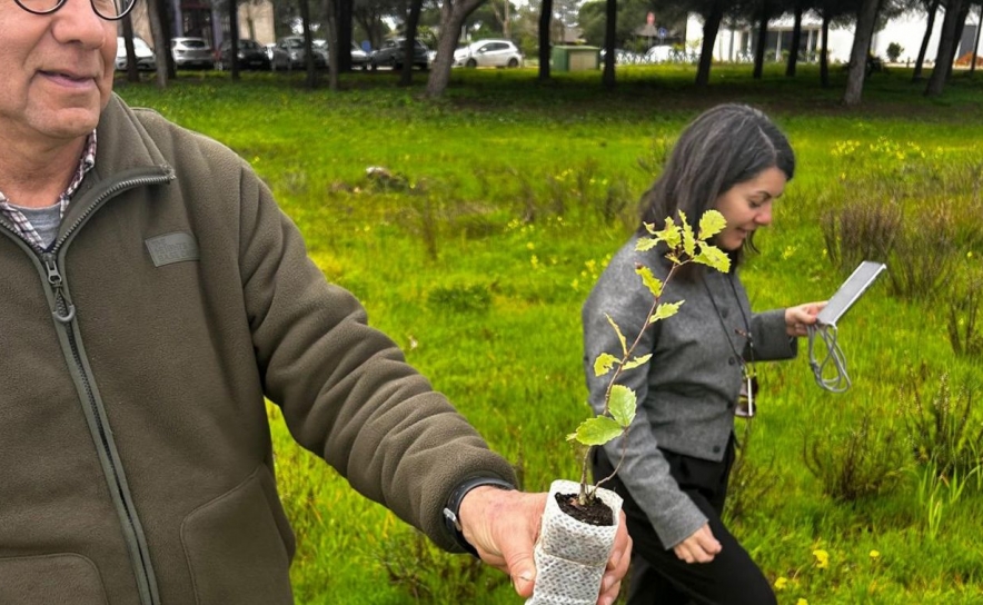UAlg planta carvalho-de-monchique e reforça conservação de espécie ameaçada