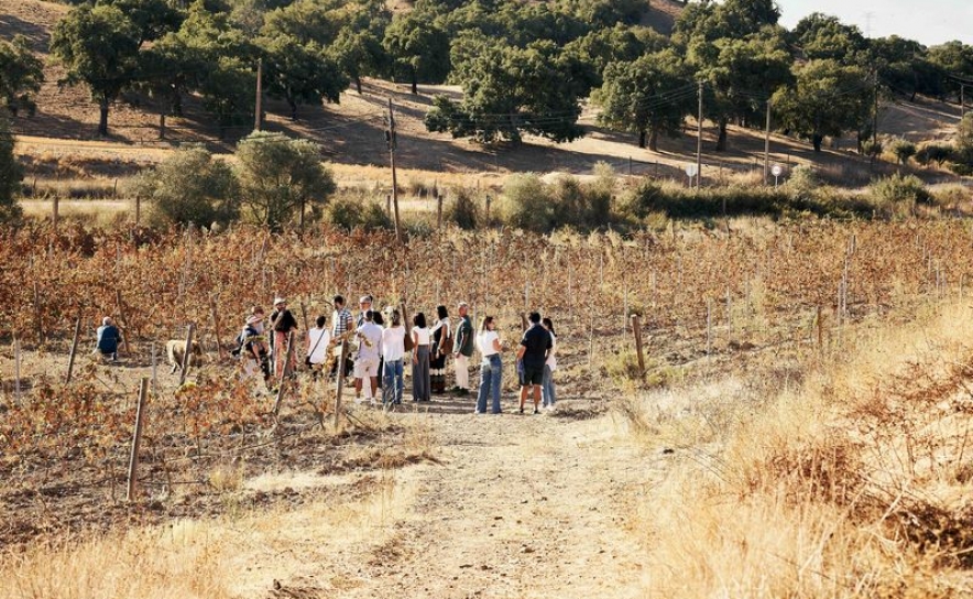 Herdade Barranco do Vale
