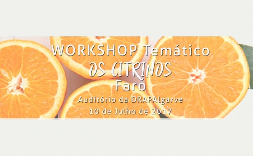 workshop Temático «Os Citrinos»