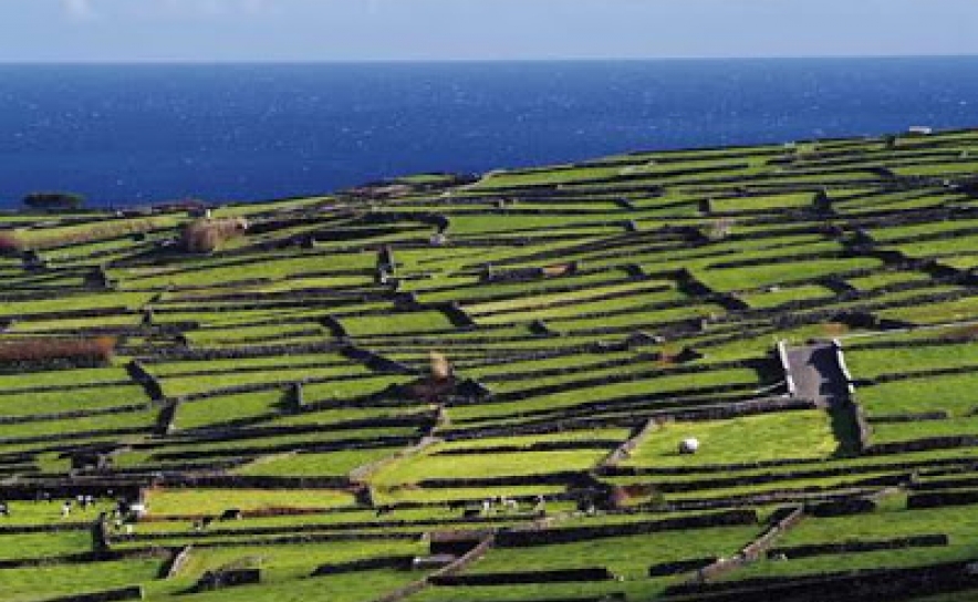Lista de zonas agrícolas desfavorecidas publicadas hoje em Diário da República