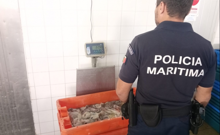 Polícia Marítima apreende 30kg de pescado em Santa Luzia em Tavira