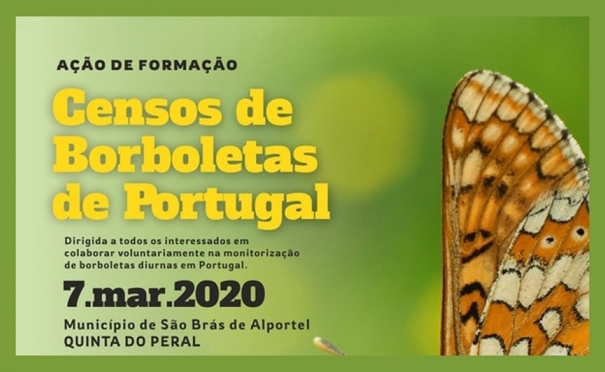 São Brás de Alportel recebe formação sobre censos de borboletas em Portugal 