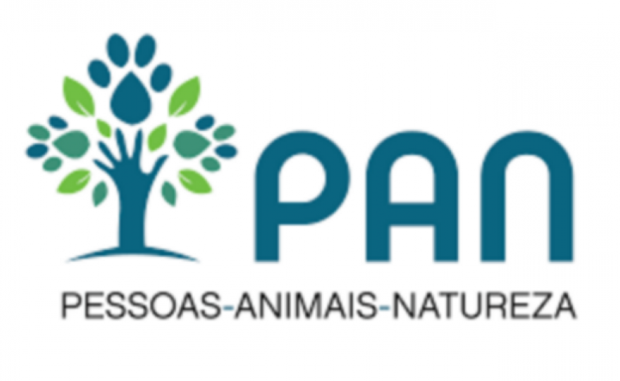 PAN Algarve reforça o pedido de Praias Pet-Friendly na região