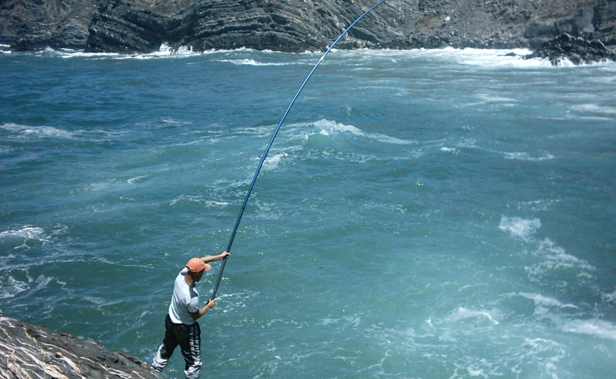 CÂMARAS MUNICIPAIS E POPULAÇÃO EXIGEM RETOMA DA PESCA LÚDICA NO PARQUE NATURAL DO SW ALENTEJANO E COSTA VICENTINA