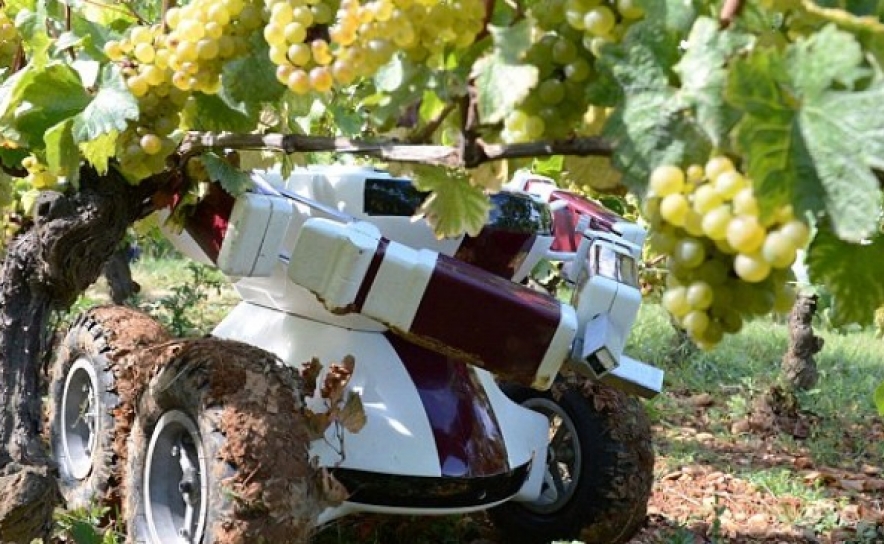 Portugueses em Projecto Robô para ajudar na gestão das vinhas